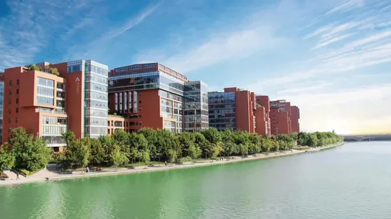 Medicamento veterinário 50% Doxiciclina HCl em pó solúvel em água