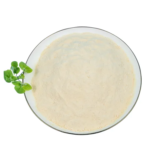 Esporo Probiótico Bacillus Coagulans Resistente ao Calor Aplicação em Alimentos Ingrediente Matéria-Prima